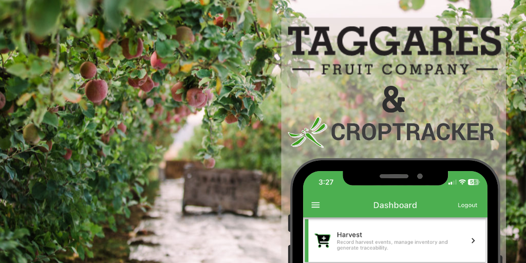 Croptracker Customer Showcase: Taggares Fruit Company